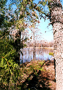 Big Pond, South Side